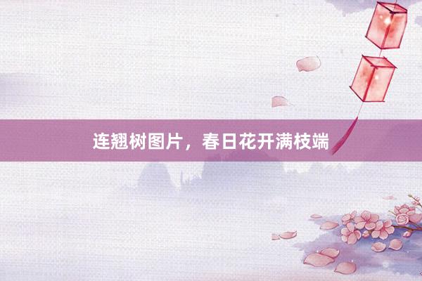 连翘树图片，春日花开满枝端