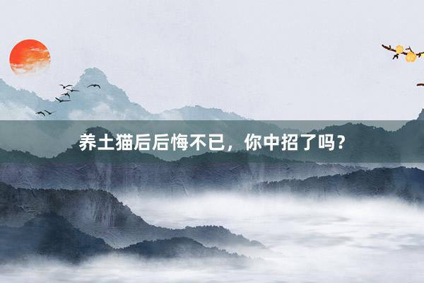养土猫后后悔不已，你中招了吗？