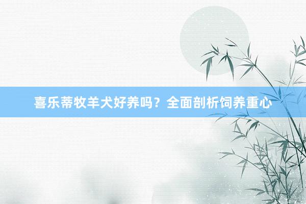喜乐蒂牧羊犬好养吗？全面剖析饲养重心